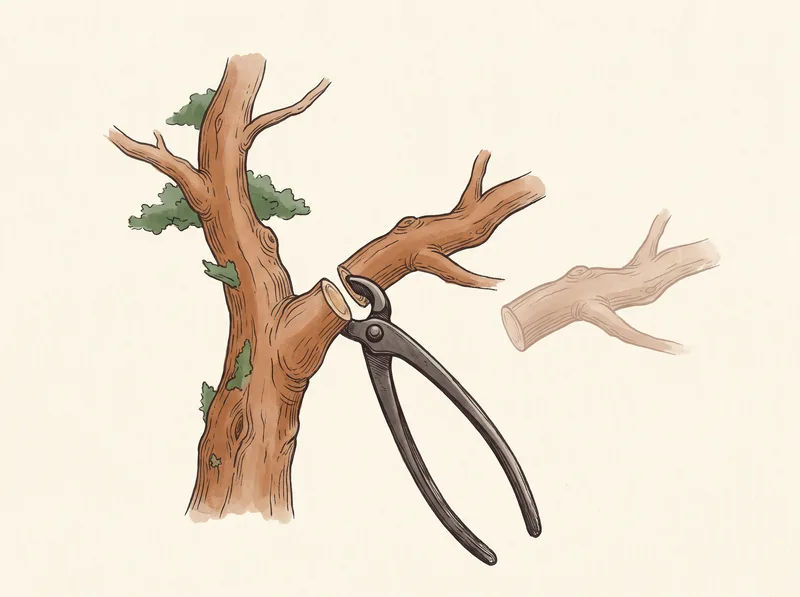 A concave branch cutter making a flush hollow cut where a branch met the trunk
