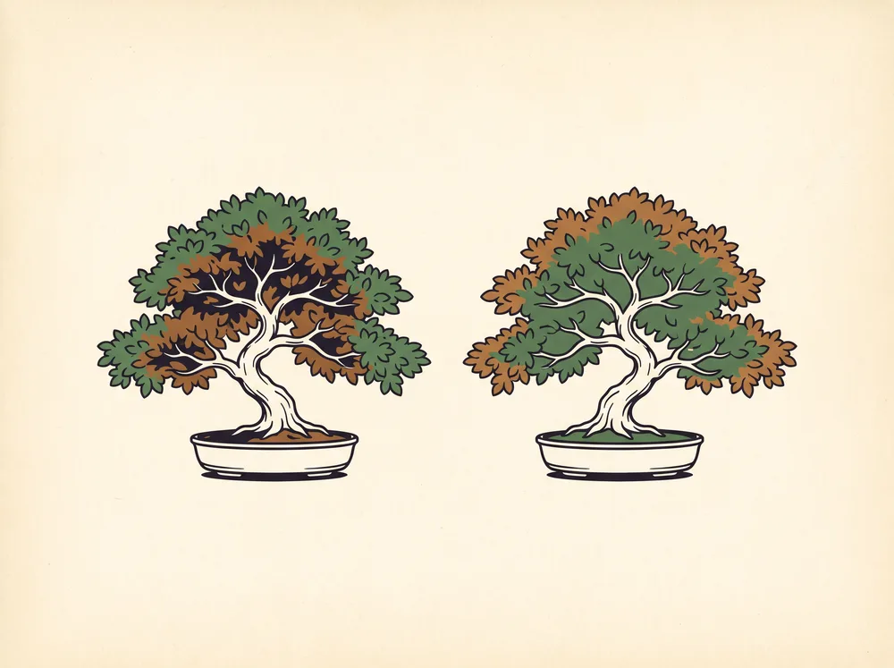 Field-guide illustration of two bonsai silhouettes, one browning from the canopy interior outward and one browning from the branch tips inward